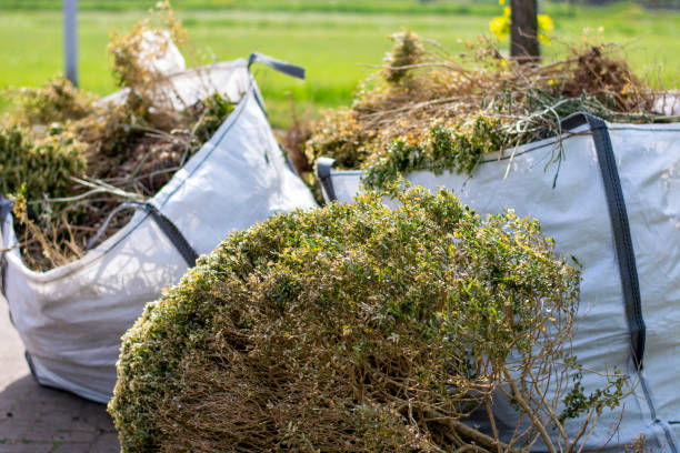 Best Junk Hauling Services  in Lordstown, OH